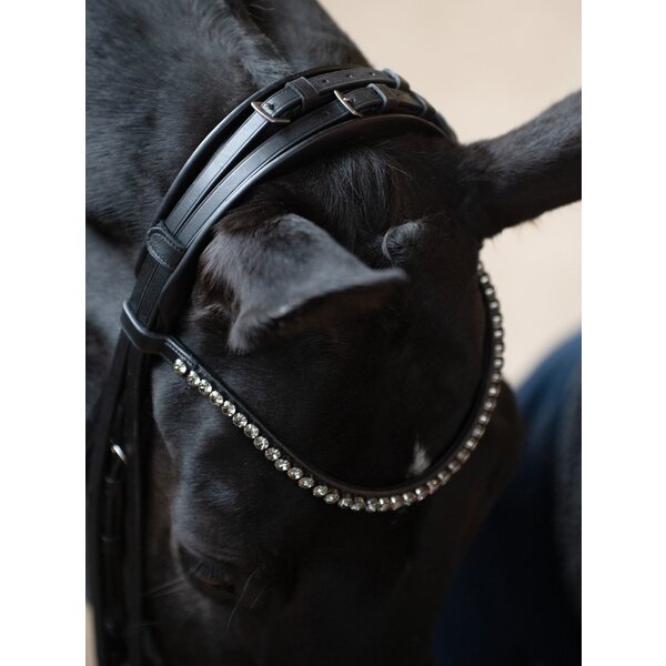 DÖBERT kandarenhoofdstel Bonn black | Warmbloed