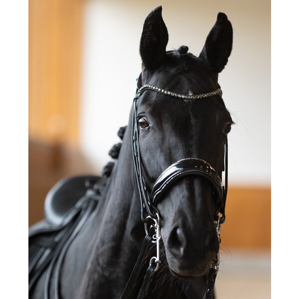 DÖBERT kandarenhoofdstel Bonn black | Warmbloed