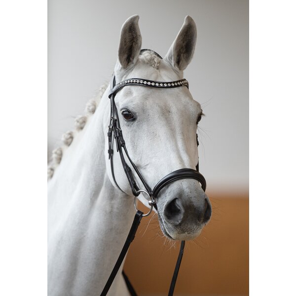 DÖBERT Hannoveraanse neusriem black | Warmbloed