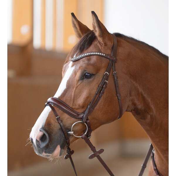 DÖBERT anatomische neusriem brown | Warmbloed