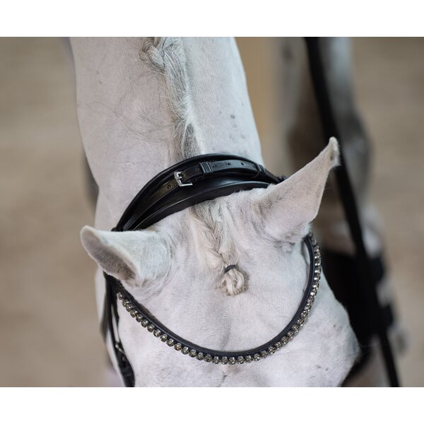 DÖBERT hoofdstel Bonn Premium black | Warmbloed