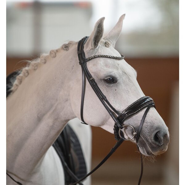DÖBERT hoofdstel Bonn Premium black | Warmbloed