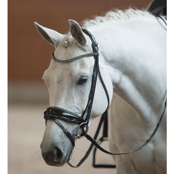 DÖBERT hoofdstel Bonn Premium black | Warmbloed