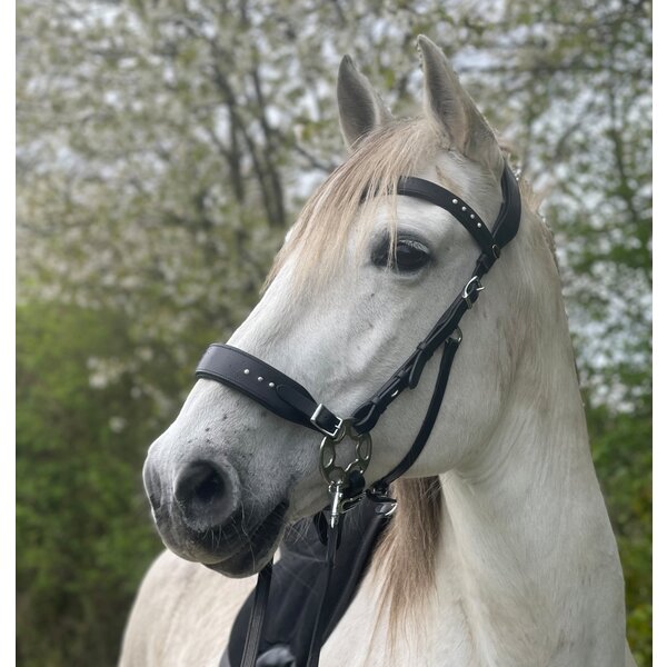F.R.A. bitloos hoofdstel Glory System 2 
