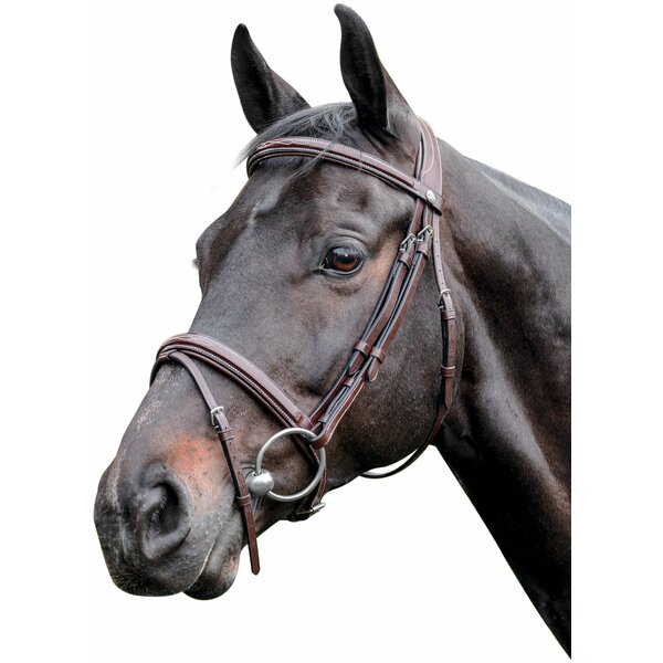 PRESTIGE Bombierte Trense braun | Warmblut