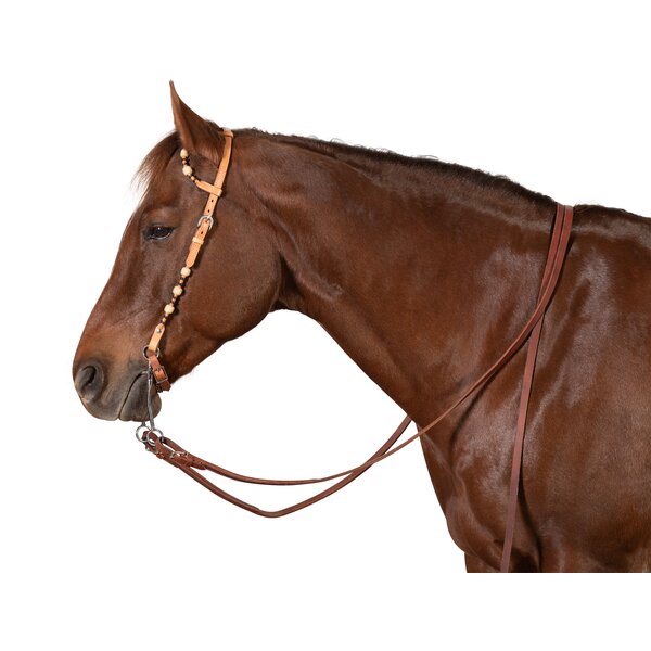 Passion 4Q Tweeoors-westernhoofdstel 