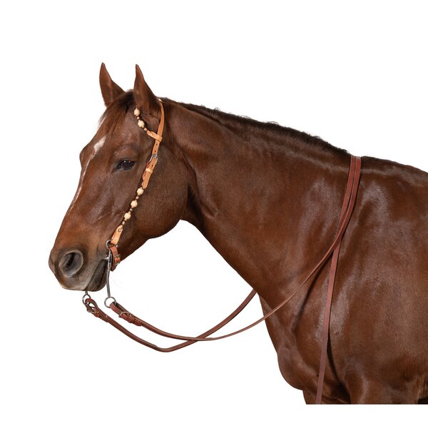 Passion 4Q Tweeoors-westernhoofdstel 