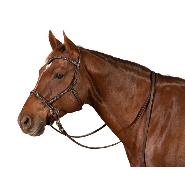 Passion 4Q Westernteugels dark brown | One size