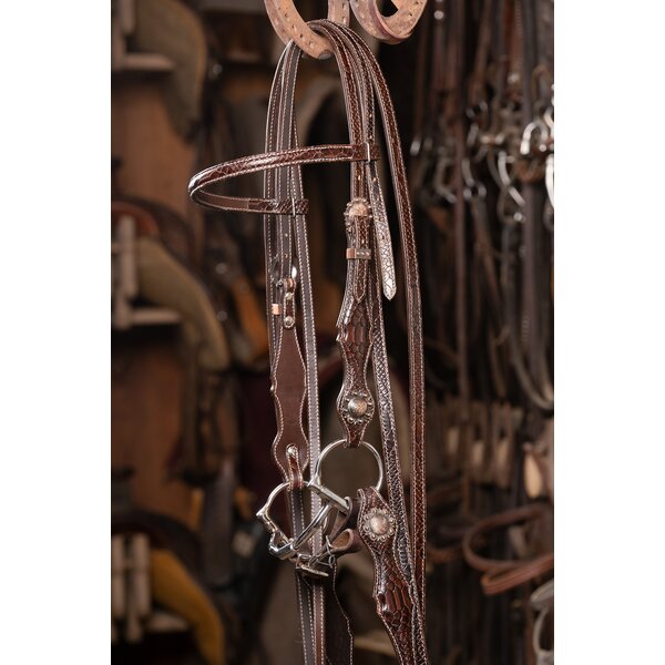 Passion 4Q Westernhoofdstel 