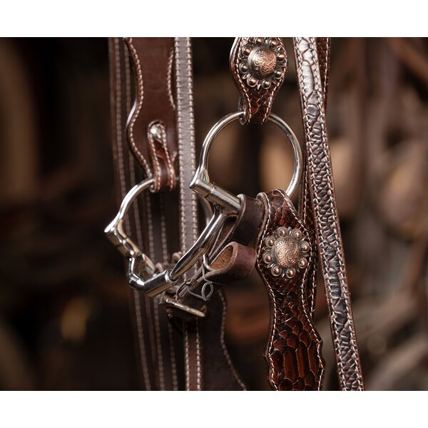 Passion 4Q Westernhoofdstel 