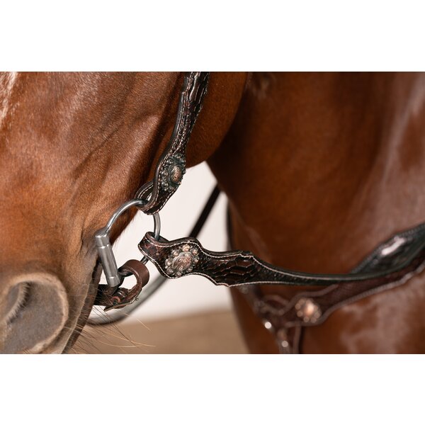 Passion 4Q Westernhoofdstel 