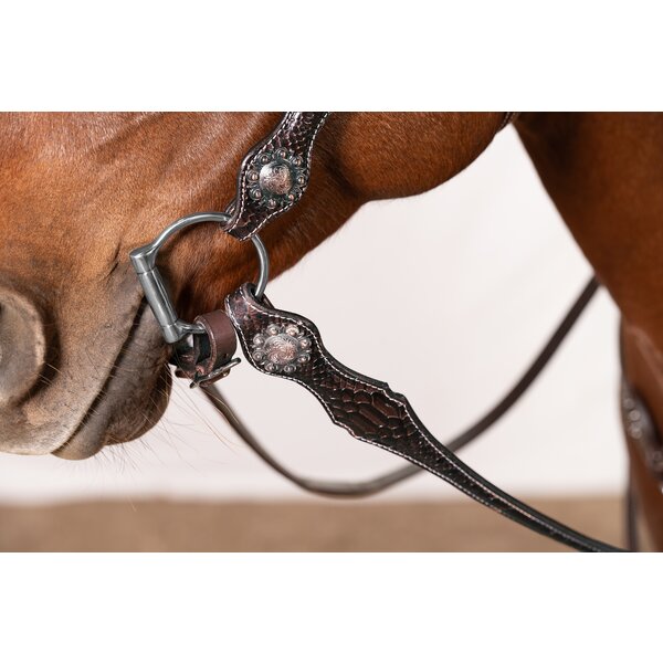 Passion 4Q Westernhoofdstel 