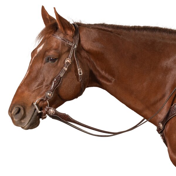 Passion 4Q Westernhoofdstel 