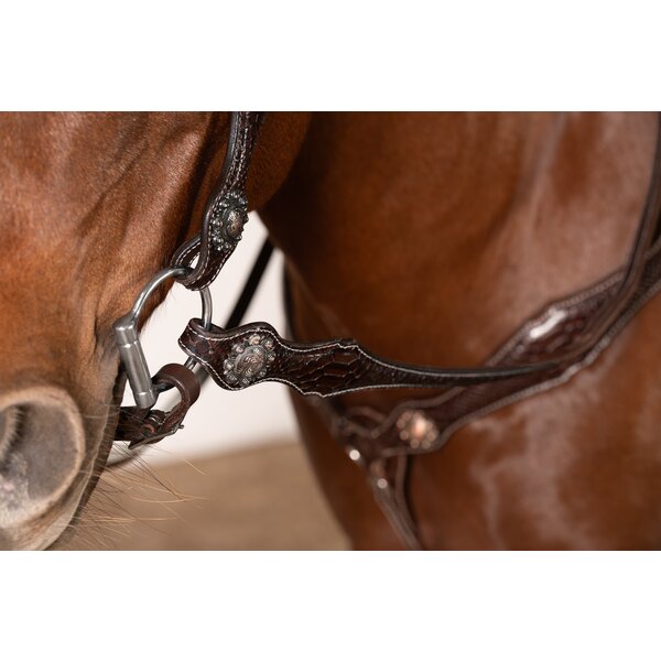 Passion 4Q Western-borsttuig 