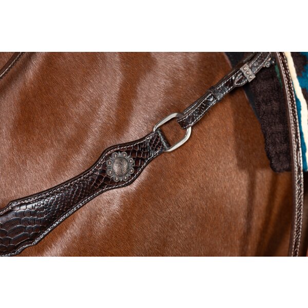 Passion 4Q Western-borsttuig 