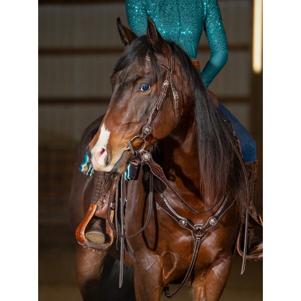 Passion 4Q Western-borsttuig 