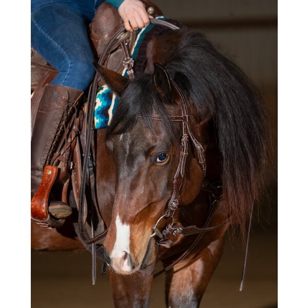 Passion 4Q Western-borsttuig 