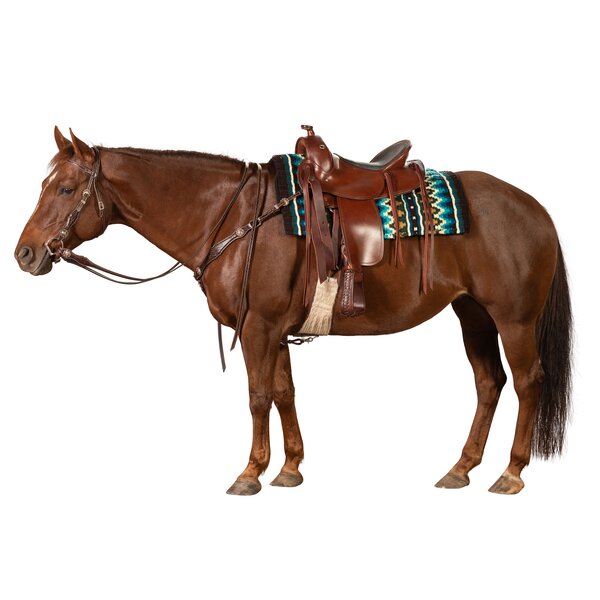 Passion 4Q Westernteugels dark brown | One size