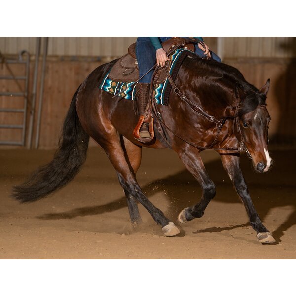 Passion 4Q Westernteugels dark brown | One size