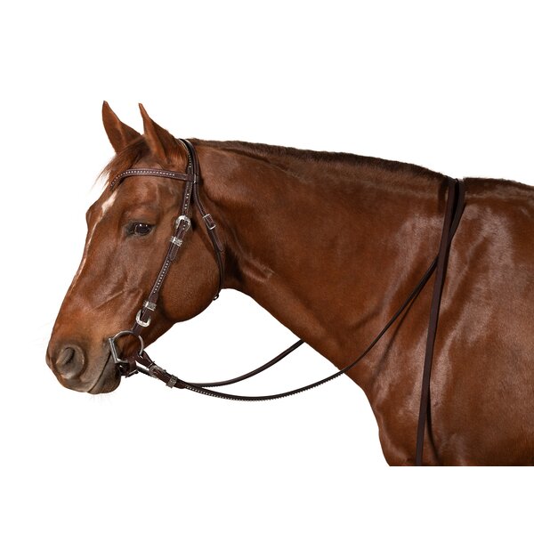 Passion 4Q Westernteugels dark brown | One size