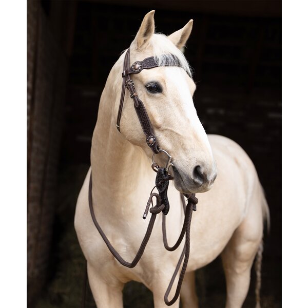 Passion 4Q westernhoofdstel 