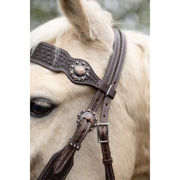 Passion 4Q westernhoofdstel 