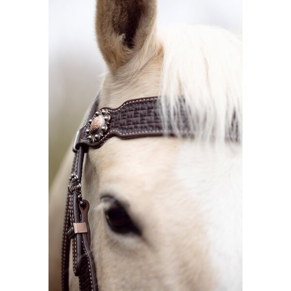 Passion 4Q westernhoofdstel 