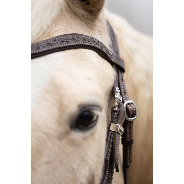 Passion 4Q westernhoofdstel 