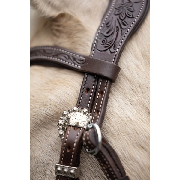 Passion 4Q westernhoofdstel 