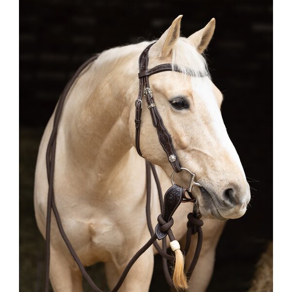 Passion 4Q westernhoofdstel 