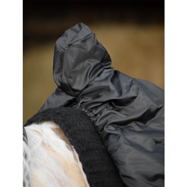Passion 4Q western zadelhoes black | One size