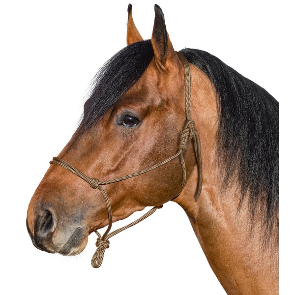 BROCKAMP Knotenhalfter Horse-Man-Halfter beige | Pony
