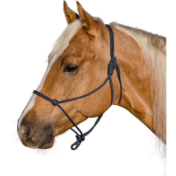 BROCKAMP Knotenhalfter Horse-Man-Halfter marineblau | Pony