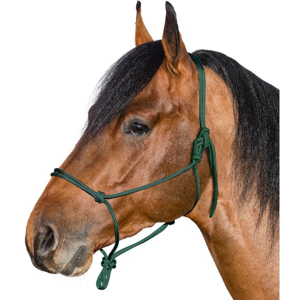 BROCKAMP Knotenhalfter Horse-Man-Halfter tannengrün | Warmblut