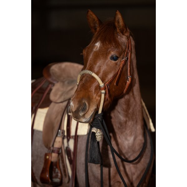 Passion 4Q bosalset light brown | Volbloed/Cob