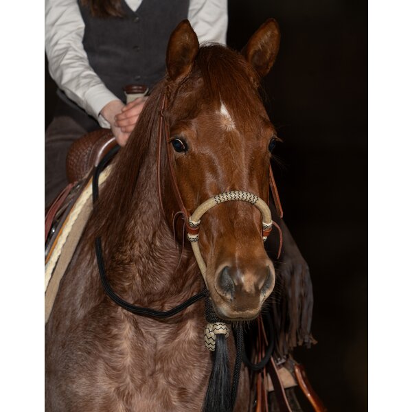 Passion 4Q bosalset light brown | Volbloed/Cob