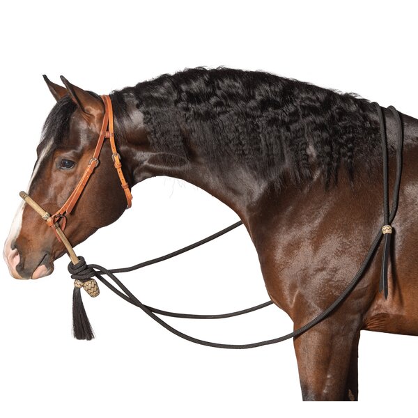 Passion 4Q Bosal Set lightbrown | Cob