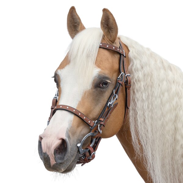 L-pro West Wanderreittrense mit Steinchen lightbrown | Warmblut