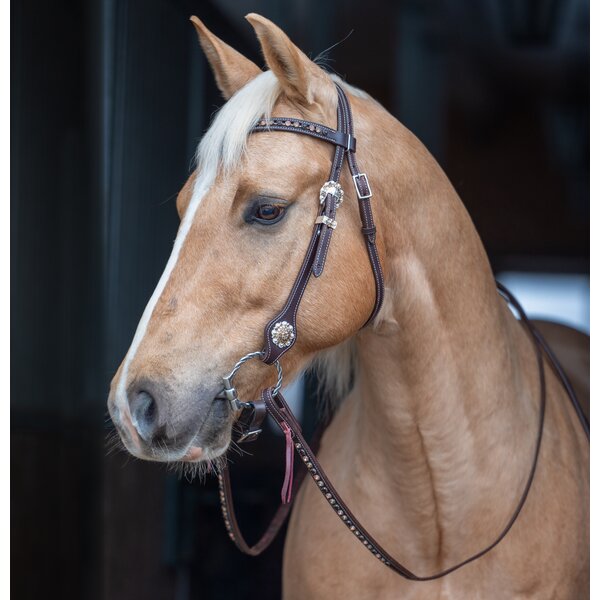 Passion 4Q westerntrens dark brown | Cob