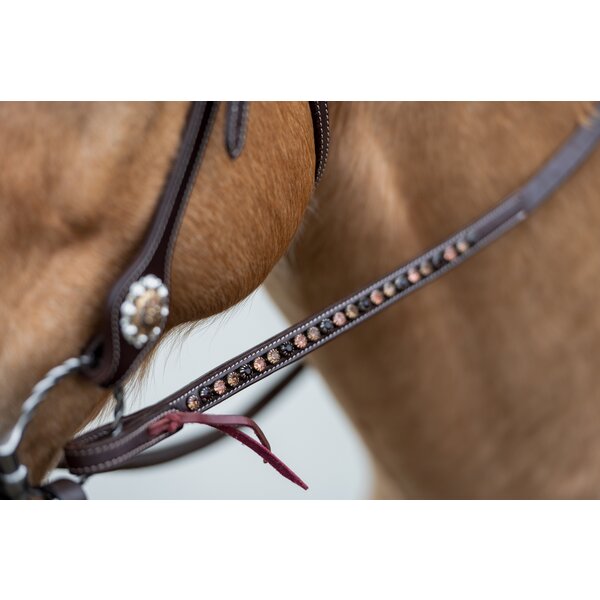 Passion 4Q Westernzügel dark brown | onesize