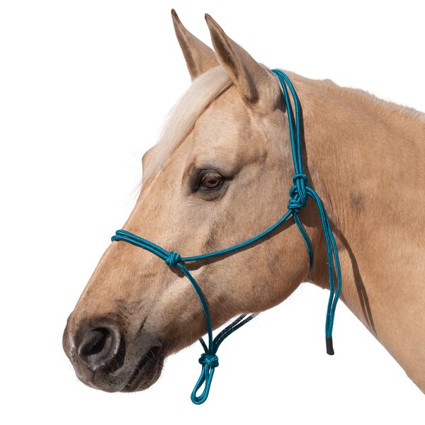 Passion 4Q knoophalster turquoise | Shetty