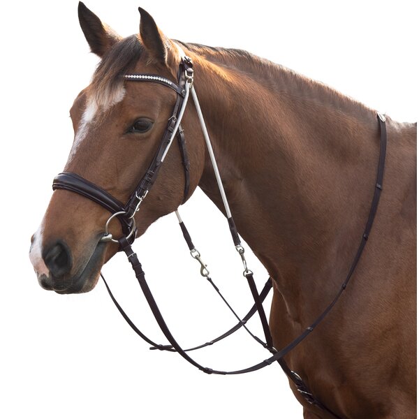 MONTIVUM chambon brown