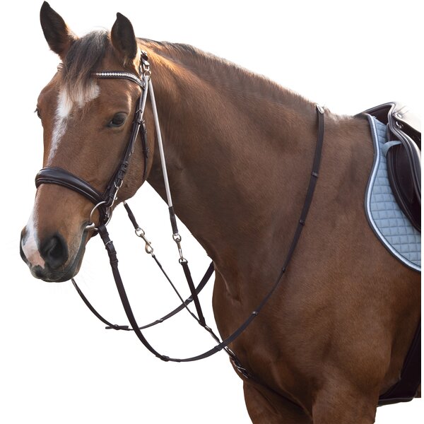 MONTIVUM chambon brown