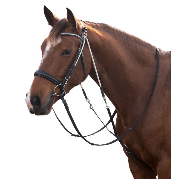 MONTIVUM chambon black