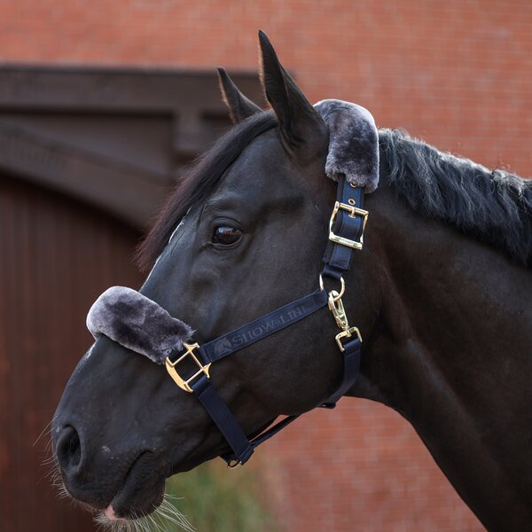 bucas Show-Line Collection Halfter navy/grey | Warmblut