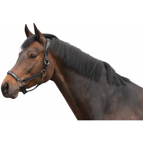 Cheval de Luxe Lederhalfter Limoges black/glossy | Pony