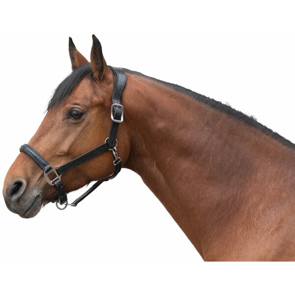 Cheval de Luxe Lederhalfter Limoges black | Pony