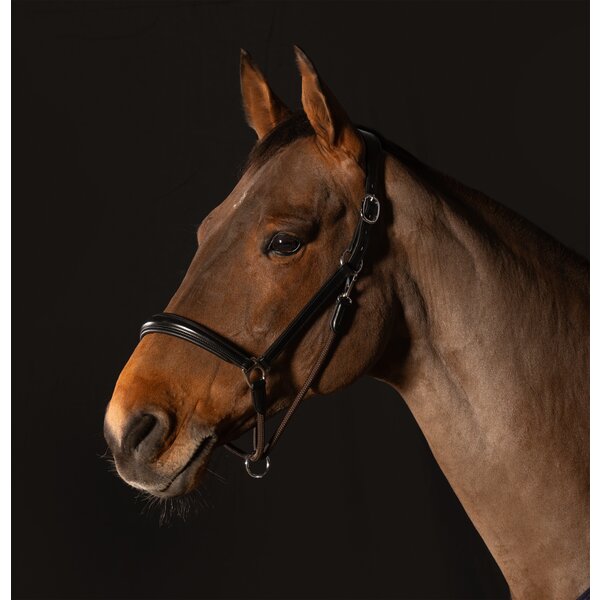Cheval de Luxe leren halster Annecy 