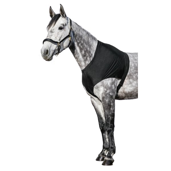 Loesdau Brustschutz für Decken schwarz | S (Pony)