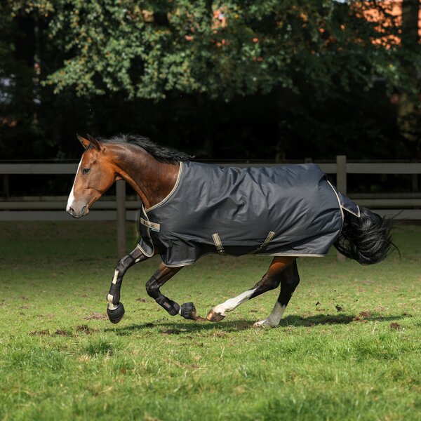 bucas Outdoordecke Freedom Turnout Light Pony 